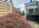 Am Ringwall 22